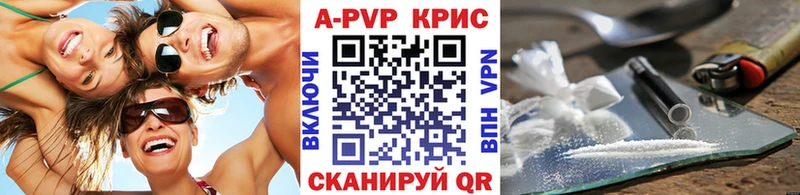 A-PVP СК  Великий Новгород 