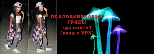 apvp Абаза