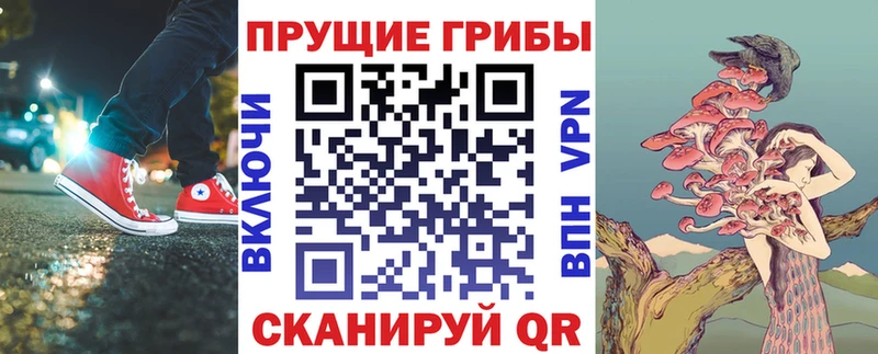 Псилоцибиновые грибы прущие грибы  продажа наркотиков  Великий Новгород 