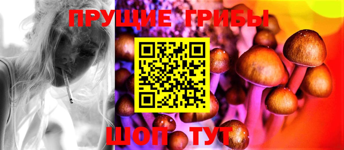 Галлюциногенные грибы прущие грибы Великий Новгород